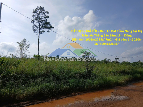 Đất đẹp - giá tốt - bán  lô đất tiềm năng tại thị trấn lộc thắng bảo lâm, lâm đồng