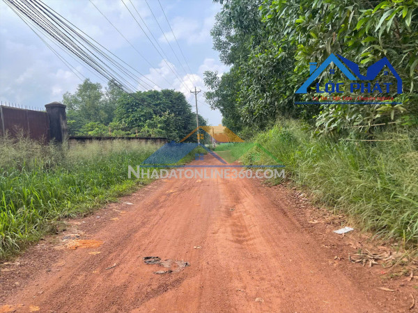 Bán đất SKC 8.000m2 xã Hố Nai 3, Trảng Bom, Đồng Nai giá 16 tỷ