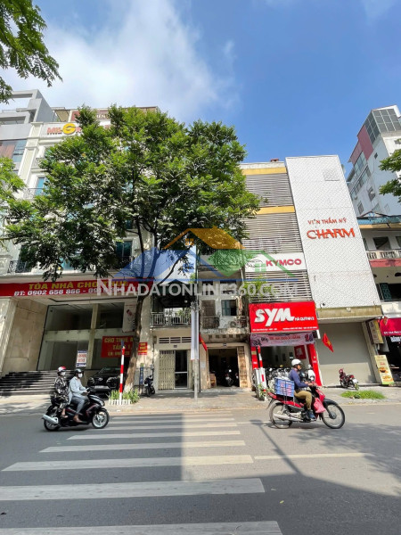 ???? mảnh đất vàng phố huế, hai bà trưng 185m2 mt 6.5m, xây tòa vip, chỉ 147 tỷ ????