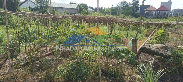 Đất chính chủ - mặt tiền ấp rừng dầu, xã mỹ hạnh bắc, huyện đức hòa, long an