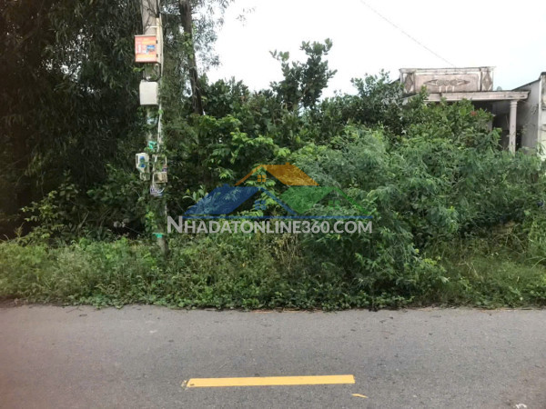 Cần bán phụ chủ lô đất thuộc đường s việt kiều mỹ xuân