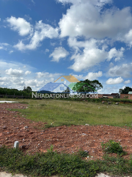 HUẾ VỪA LỤT XONG – DẠ LÊ VẪN KHÔ NHƯ CHƯA GÌ XẢY RA!