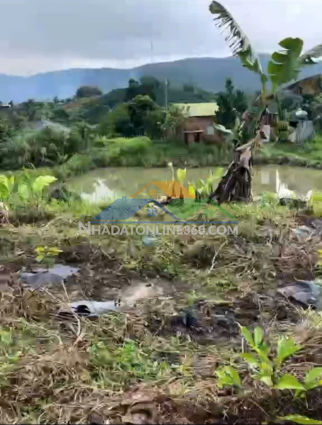 Hot !!! sở hữu ngay 3 lô đất đẹp sát nhau - giá tốt - vị trí đắc địa tại langbiang