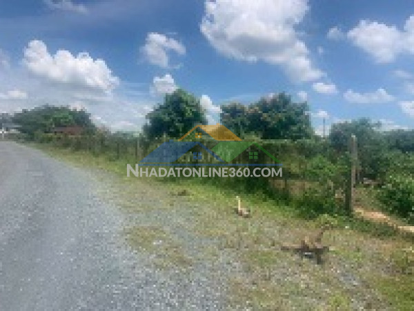 Cần bán đất tại phước thạnh, củ chi – vị trí đẹp, tiềm năng cao