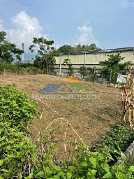 Chính chủ bán lô góc 2 mặt tiền siêu đẹp – cự đồng, thanh sơn, phú thọ