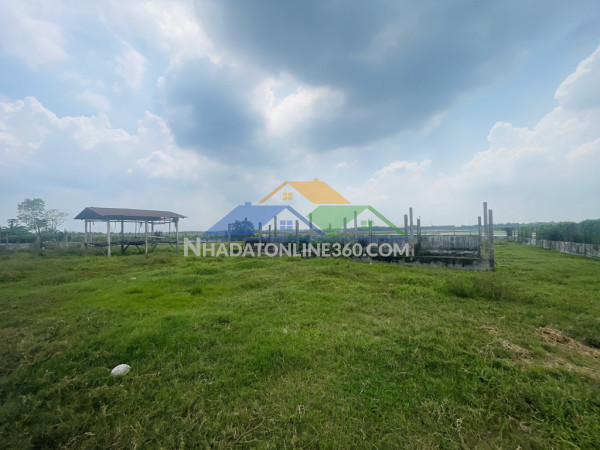 Bán đất thổ cư vườn lài, an phú đông - q.12. dt 535m2, 9,10m x 54m, . giá 34 tỷ