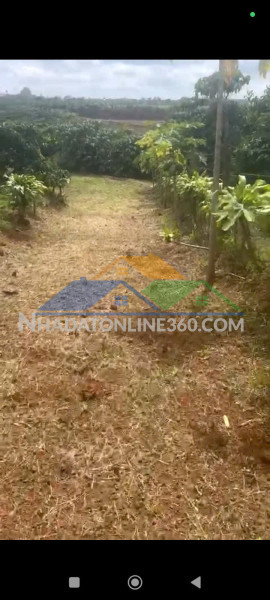 Đất đẹp – giá tốt – chính chủ  cần bán  nhanh  lô đất  tại thôn 5 ,tân lâm, di linh, lâm đồng