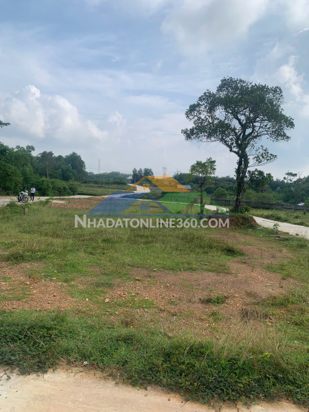 KHÔNG MUA LÔ NÀY THÌ MUA LÔ NÀO NỮA ANH CHỊ ƠI !  CƠ HỘI VÀNG ĐỂ SỞ HỮU