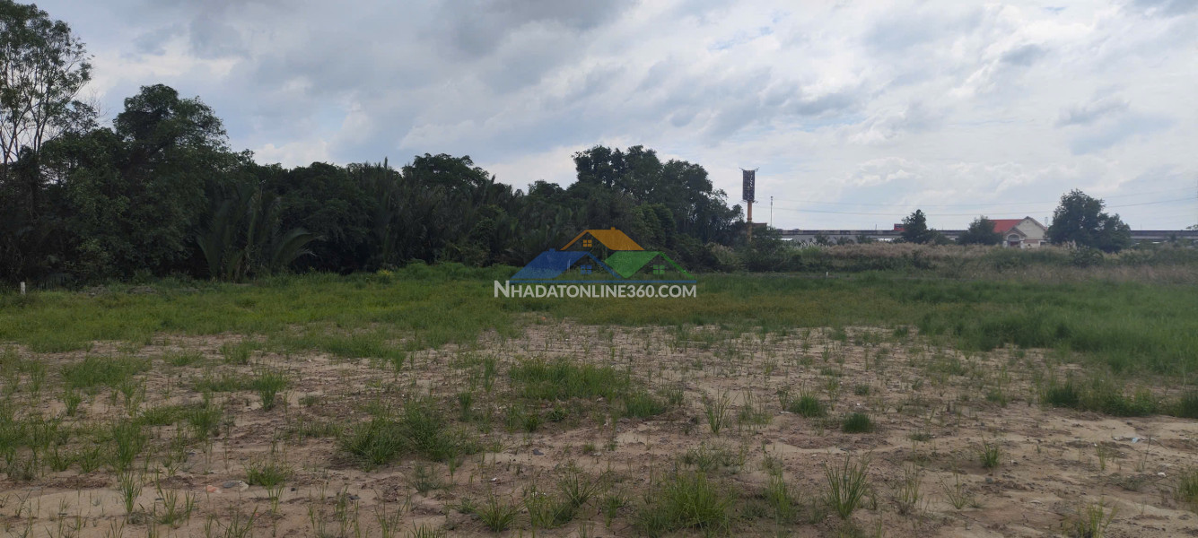 Bán gấp đất nông nghiệp đường bê tông container xã Thanh Phú