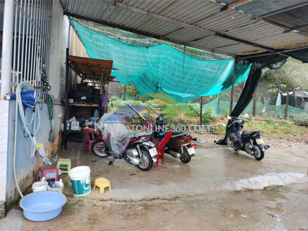 ???? đất kiệt ô tô trường chinh – nơi an cư tuyệt đỉnh chỉ 2,4 tỷ!