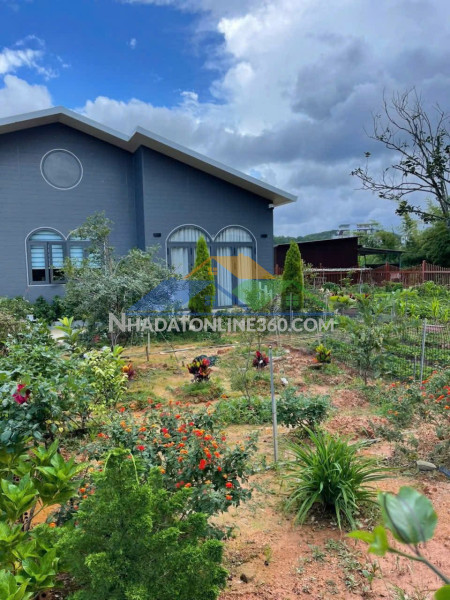 Cơ hội sở hữu lô đất biệt thự đẹp đường mai anh đào, p. lâm viên – đà lạt giá 9.5 tỷ