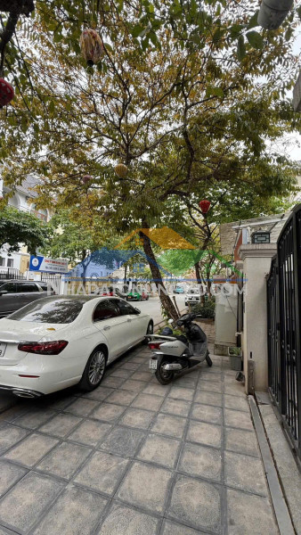 Chính chủ bán nhà tam điệp đẳng cấp biệt thự mini giữa lòng thành phố