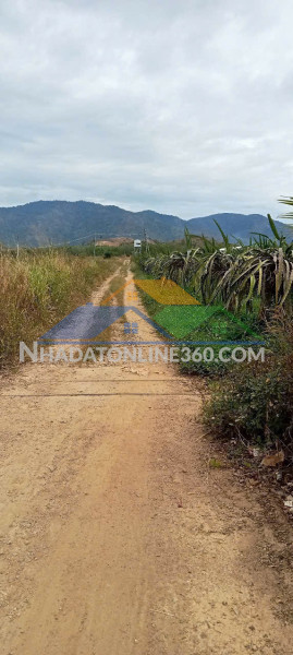 Bán 15ha đất ở dân thuận, xã hàm thạnh, huyện hàm thuận nam, tỉnh bình thuận