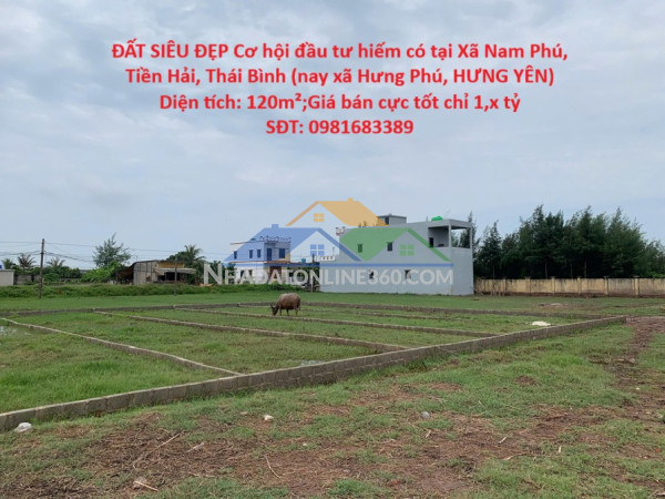Đất siêu đẹp cơ hội đầu tư hiếm có tại xã nam phú, tiền hải, thái bình (nay xã hưng phú, hưng yên)