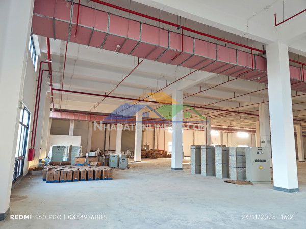 Cho thuê nhà xưởng ccn bắc ninh – bàn giao ngay

xưởng 2 tầng & 3 tầng từ 2288m