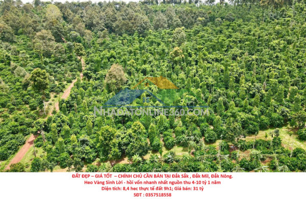 Đất đẹp – giá tốt  – chính chủ cần bán lô đất tại đắk sắk , đắk mil, đắk nông