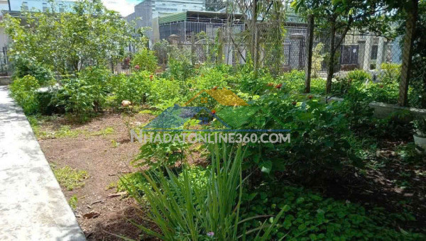 Cho thuê đất thổ cư 5 năm tại đường hoàng quốc việt, liên nghĩa, đức trọng, lâm đồng