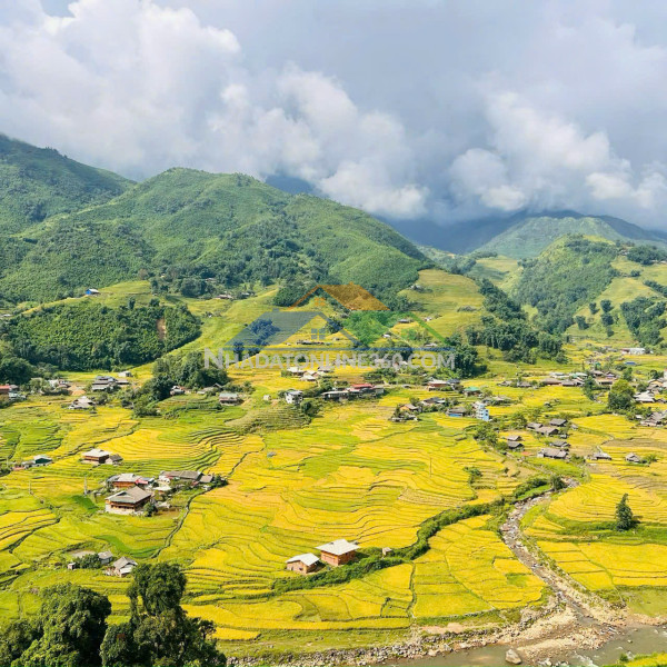 BÁN MẢNH ĐẤT CHÍNH CHỦ VIEW THUNG LŨNG MƯỜNG HOA SAPA LÀO CAI