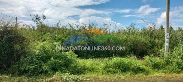 Đất chính chủ - khu dân cư vạn phát ấp tân phú a, tt cái tắc, huyện châu thành a, hậu giang