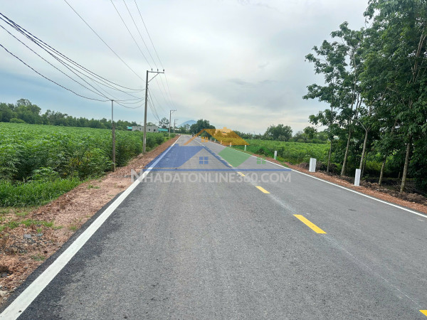 Chính chủ bán 2 lô đất sẵn sổ mặt tiền 12m trung tâm long chữ-bến cầu