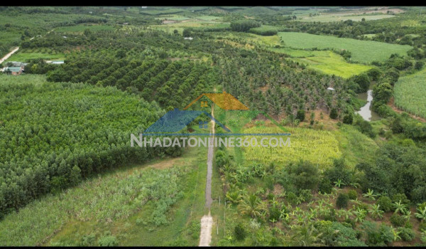 Đầu tư sinh lời - chính chủ cần bán lô đất tại ninh tân, ninh hòa, khánh hòa