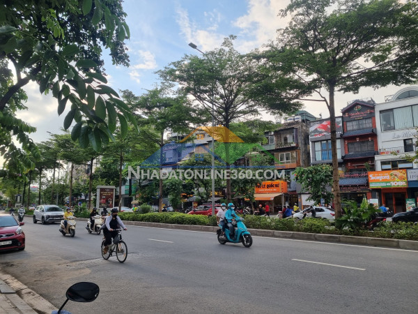 ⚜️ mặt phố vip đào tấn, ba đình 55m2 5t mt 5.5m, giá siêu tốt 37 tỷ ⚜️