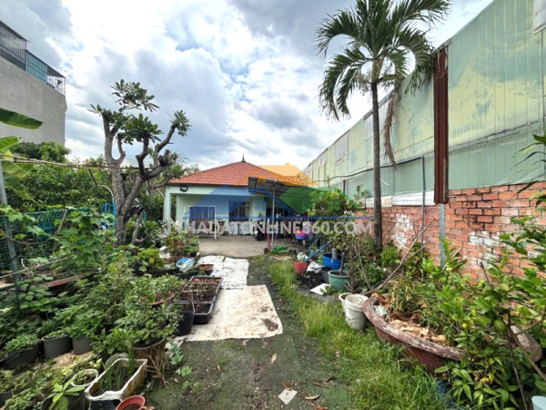 Bán gấp mặt tiền kinh doanh 1.753m2_28x64m dòng tiền hơn 1 tỷ/năm - hiệp bình phước thủ đức