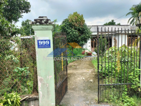 Nhà chính chủ địa chỉ: 999 nguyễn văn khạ, ấp 2, xã nhuận...