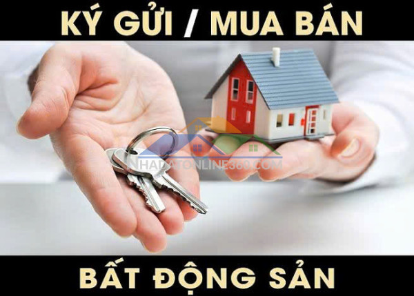 Dịch vụ môi giới – ủy quyền
nhà đất
tại

trung văn

liên hệ
0972 078 667