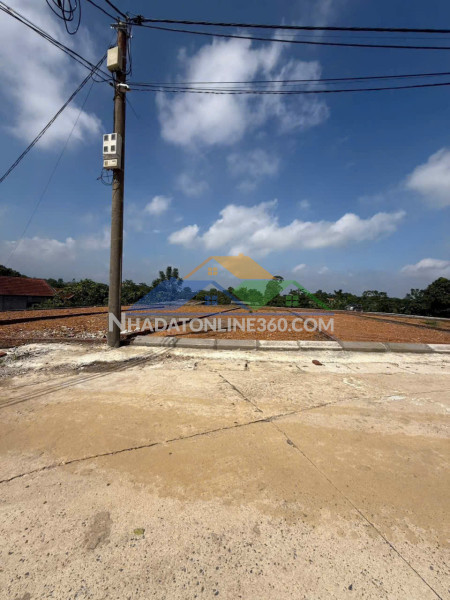 Giá sốc chỉ 320 triệu-bán đất cẩm lĩnh, ba vì, hà nội