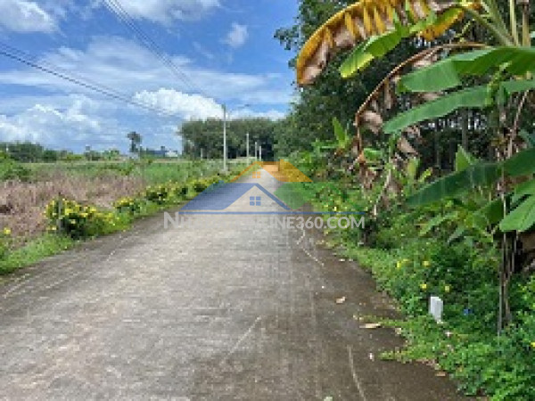 Bán đất đấu giá – tổ dân phố vân đồn, phường hồng quang (xã nghĩa an cũ)