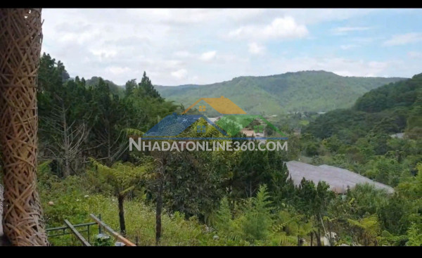 Siêu phẩm đất rộng view đẹp 14.000m2 mặt tiền mimoza – giảm giá bán gấp còn 42 tỷ