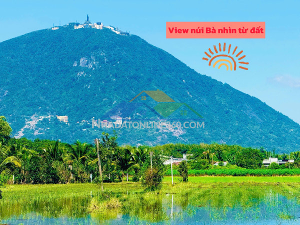 Mặt tiền đường nhựa view trực diện núi bà đen full thổ cư 140m2 sẵn sổ ra thị trấn dmc chỉ vài phút