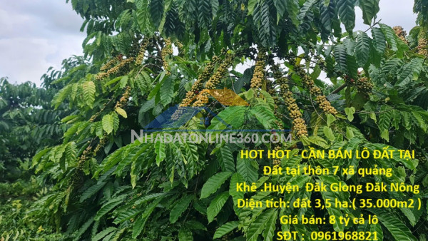 Hot hot - cần bán lô đất tại  đất tại thôn 7 xã quảng khê .huyện  đăk glong đăk nông