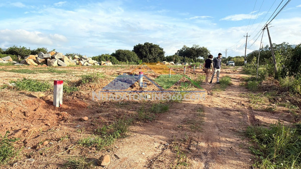 Bán đất thổ cư đôi diện cụm cônng nghiệp suối dầu tại cam tâm khánh hoà. 128m2 giáng 830tr full thổ cư zalo79-53.53.53o