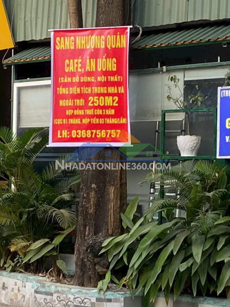 Chính chủ cần sang nhượng gấp quán cafe 250m² – mặt tiền 8m tại 164 thanh bình, phường mỗ lao, hà đông, hà nội