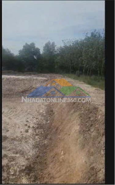 Đất chính chủ - giá tốt tại xã minh tân, huyện dầu tiếng, tỉnh bình dương