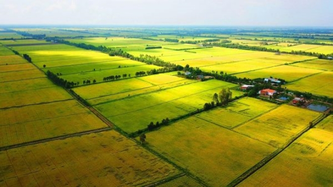 08 quy định mới từ 01/9/2021 của luật đất đai mà người có nhà đất nên biết 08 quy định mới từ 01/9/2021 của luật đất đai mà người có nhà đất nên biết